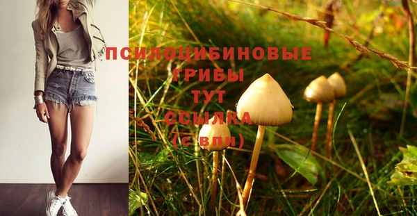 гидра Арсеньев