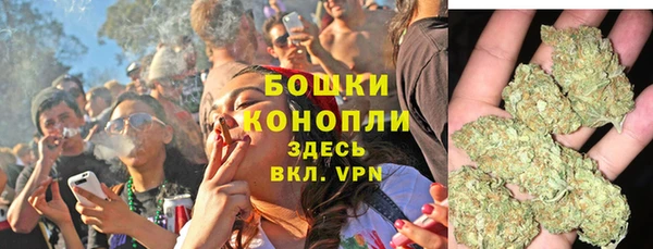 крисы Баксан