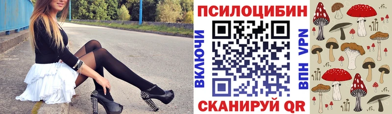 Галлюциногенные грибы мицелий  где можно купить   Михайлов 